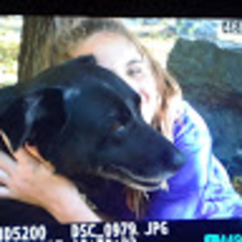 Meet your Posher, Grace